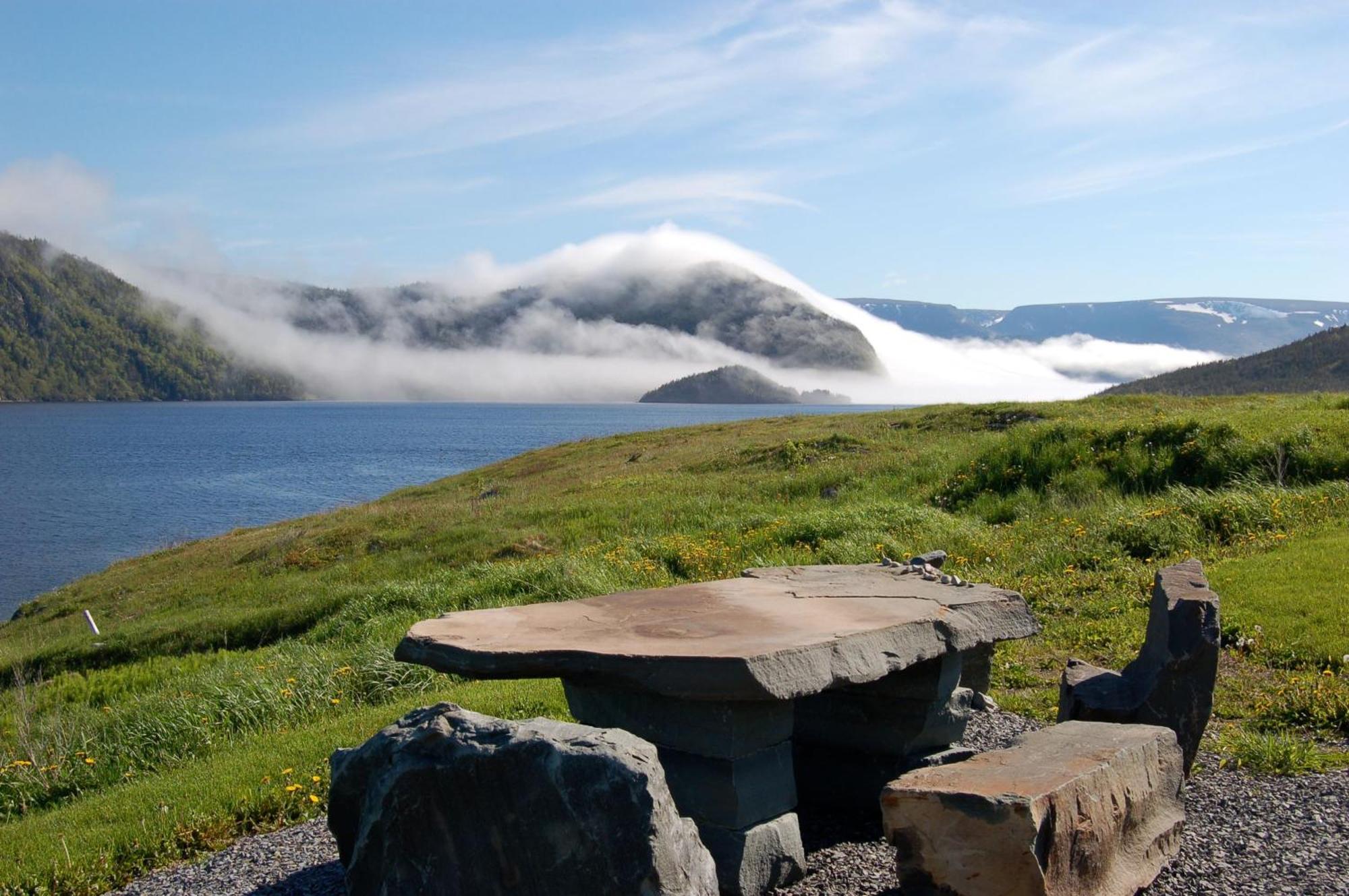 Neddies Harbour Inn Norris Point Eksteriør bilde